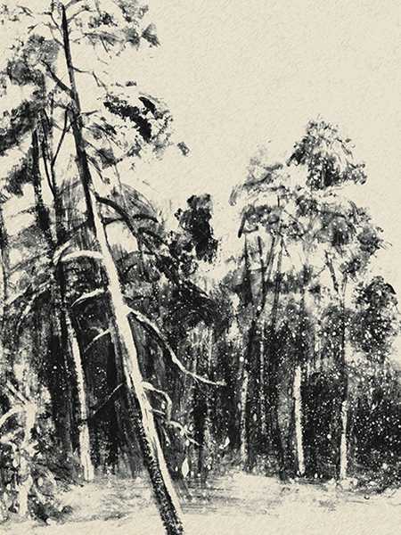 Ink-Woods, col.01 - tapete für