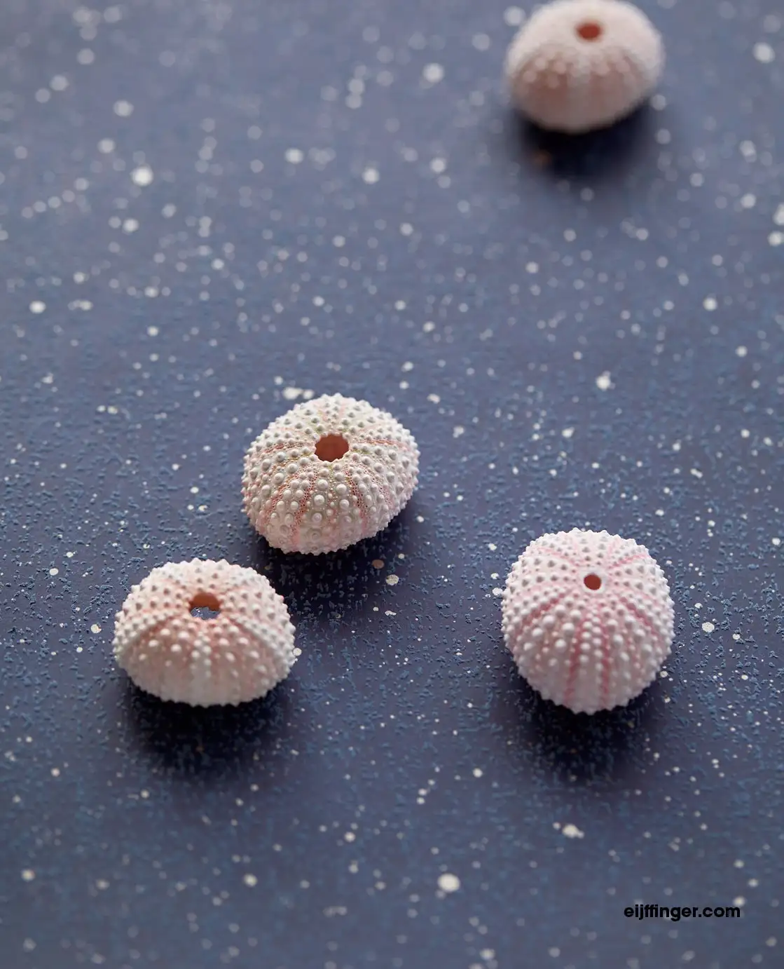 Vivid Sky, col.26 - Punkte Tapeten - Blau - Gold - Eijffinger