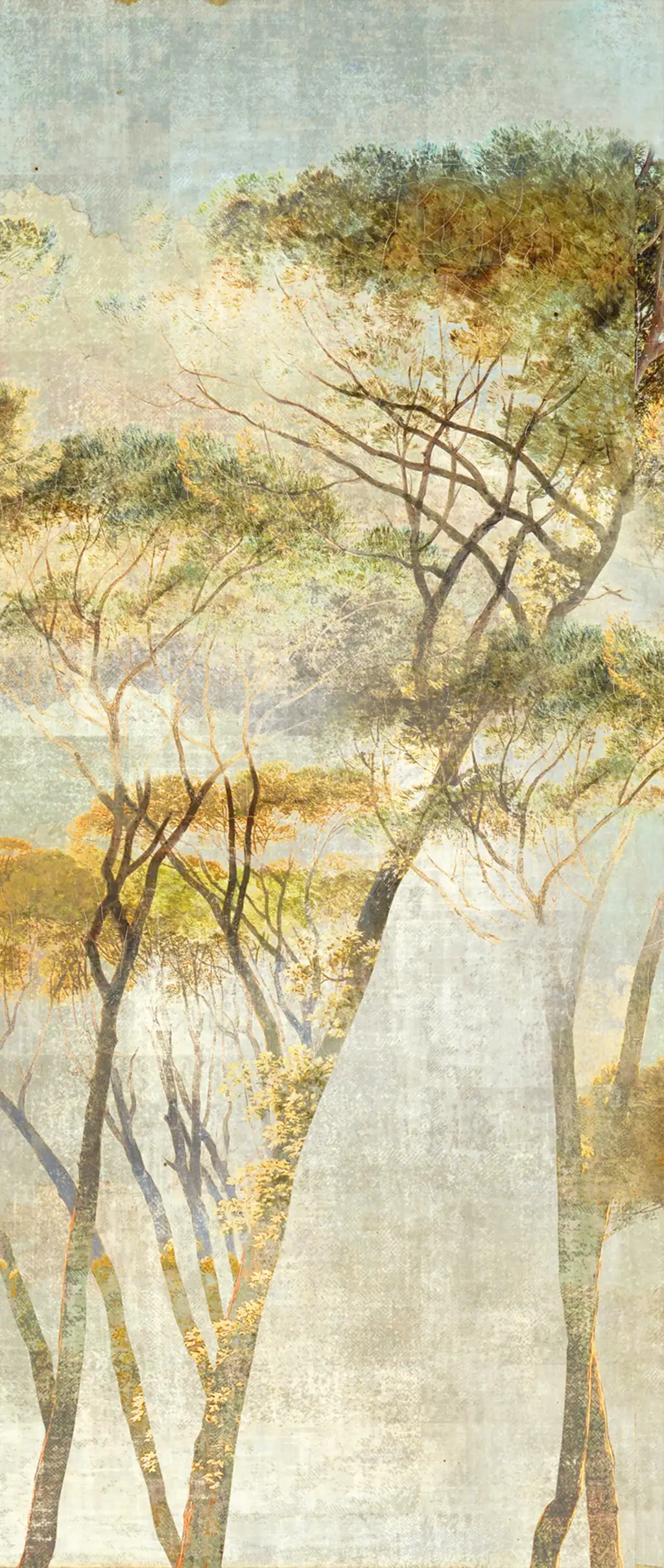 HYMN SAVANNA, col. 03