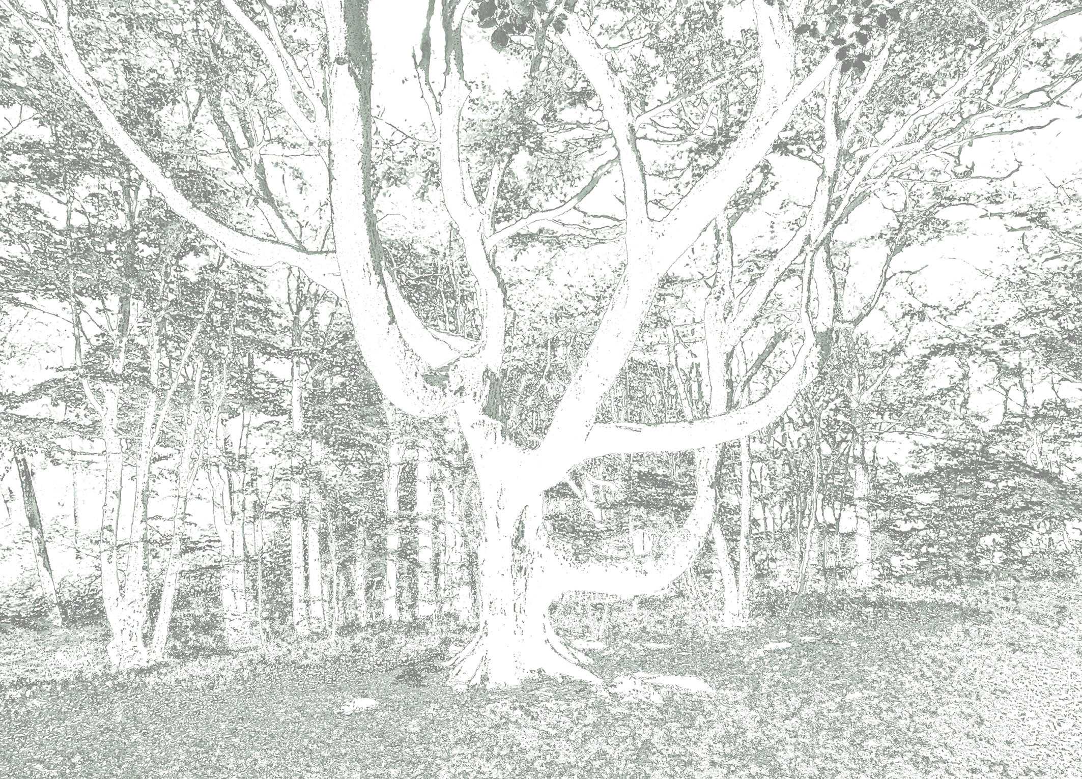 In the wood - designer
