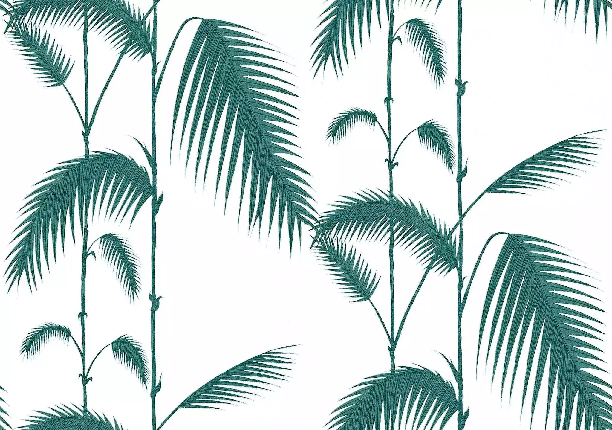 Palm Leaves, col. 12