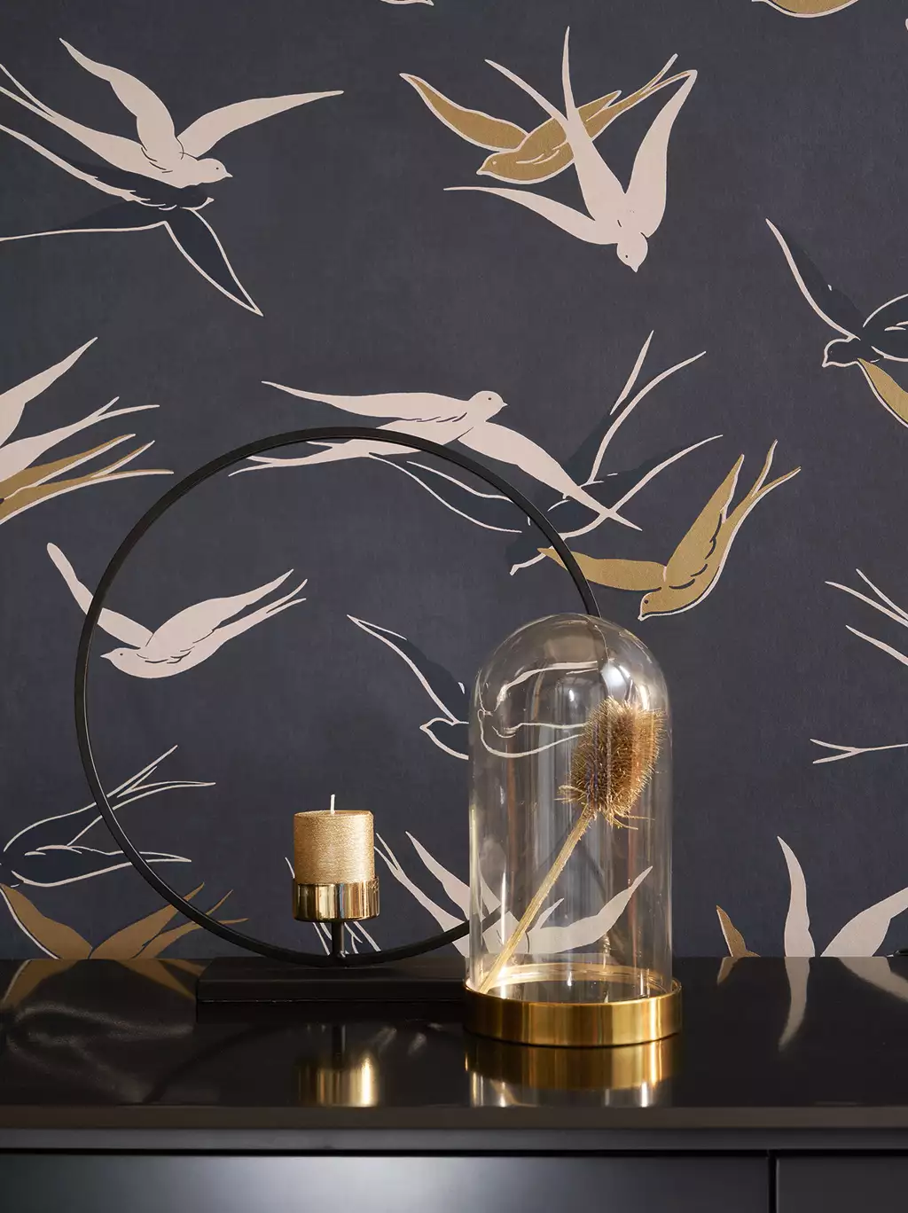 Swallow, nior reglisse