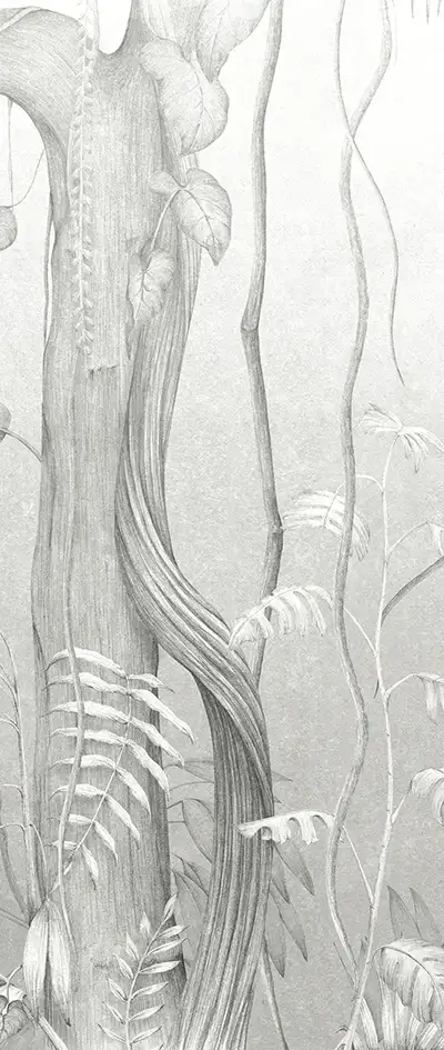 Moesson, col. 02