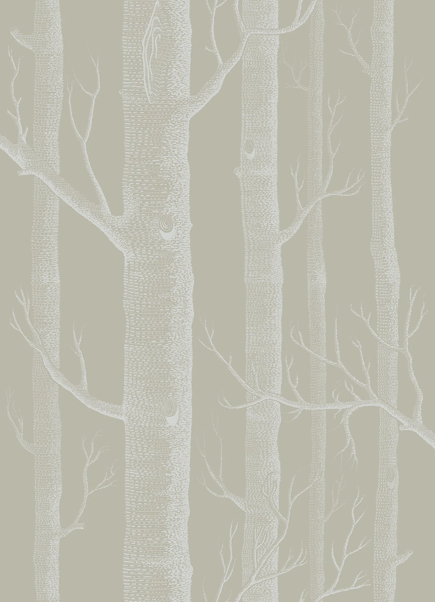 Woods, White on Old Olive