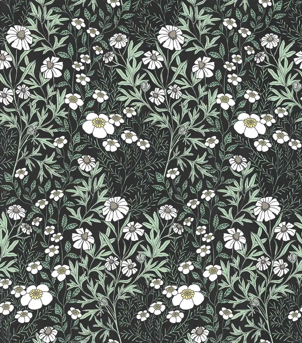 Feverfew, midnight