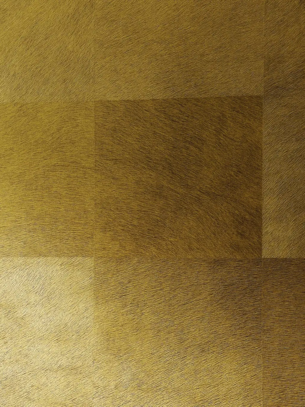 Ausschnitt