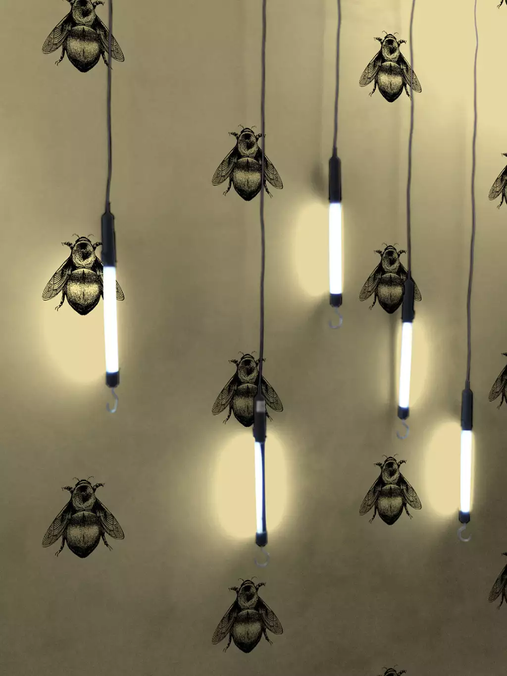 Napoleon Bee, Black & Gold on Gold - animal print - Gold - Timorous Beasties