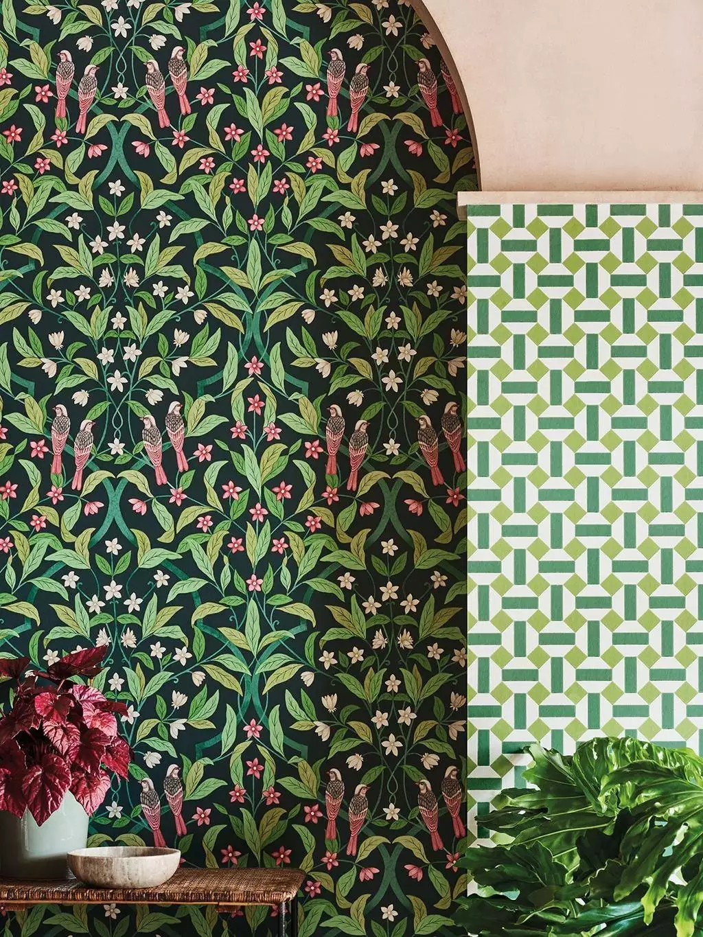 Jasmine & Serin Symphony, col. 28 - Blumen - Blätter - Creme - Grün - Rosa - Schwarz - Cole & Son