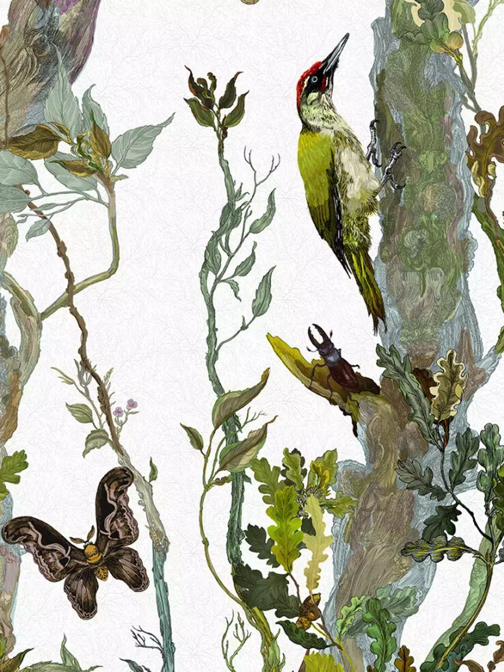 Indie Wood, col. 01