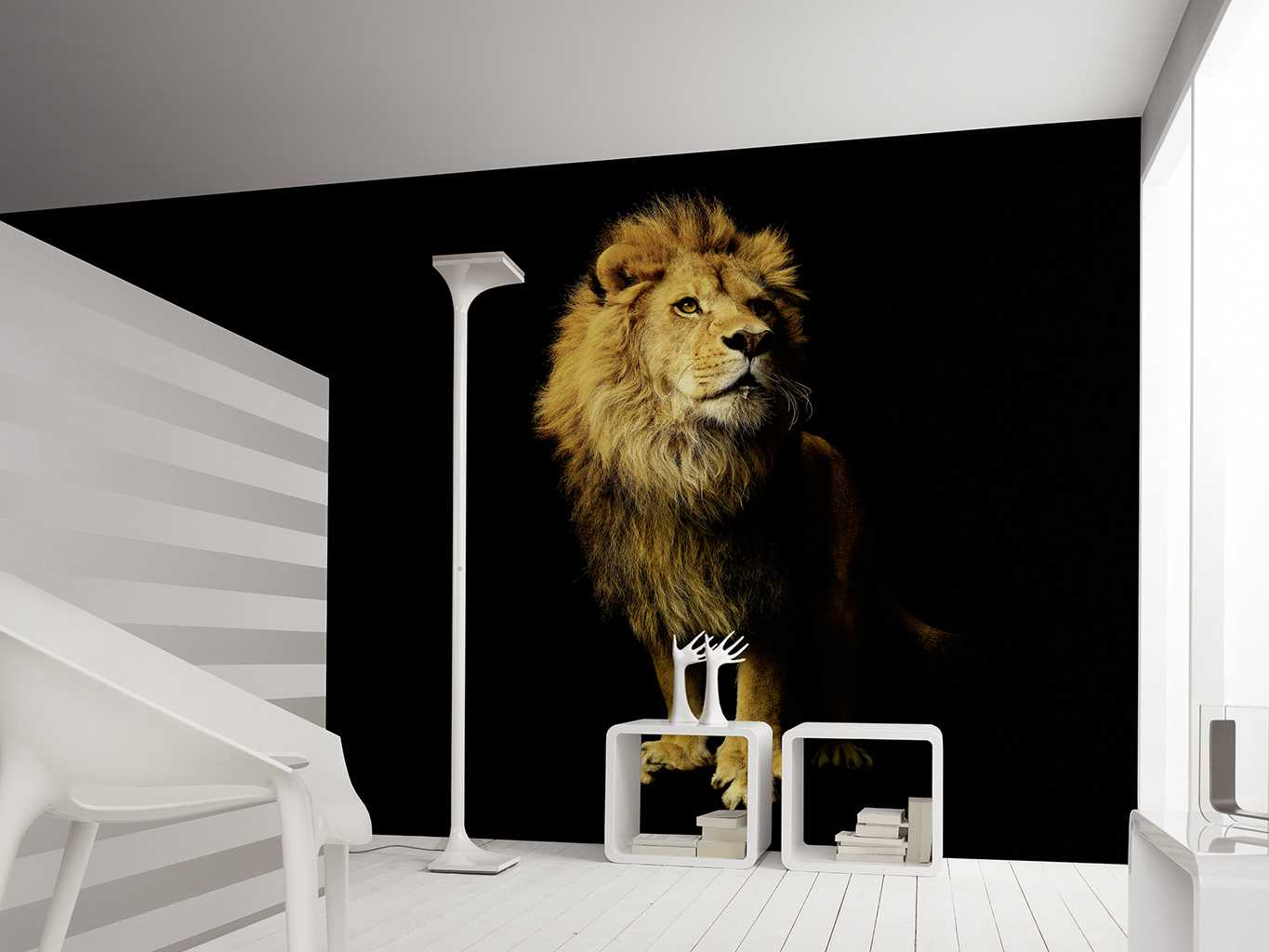 Lion, col.37