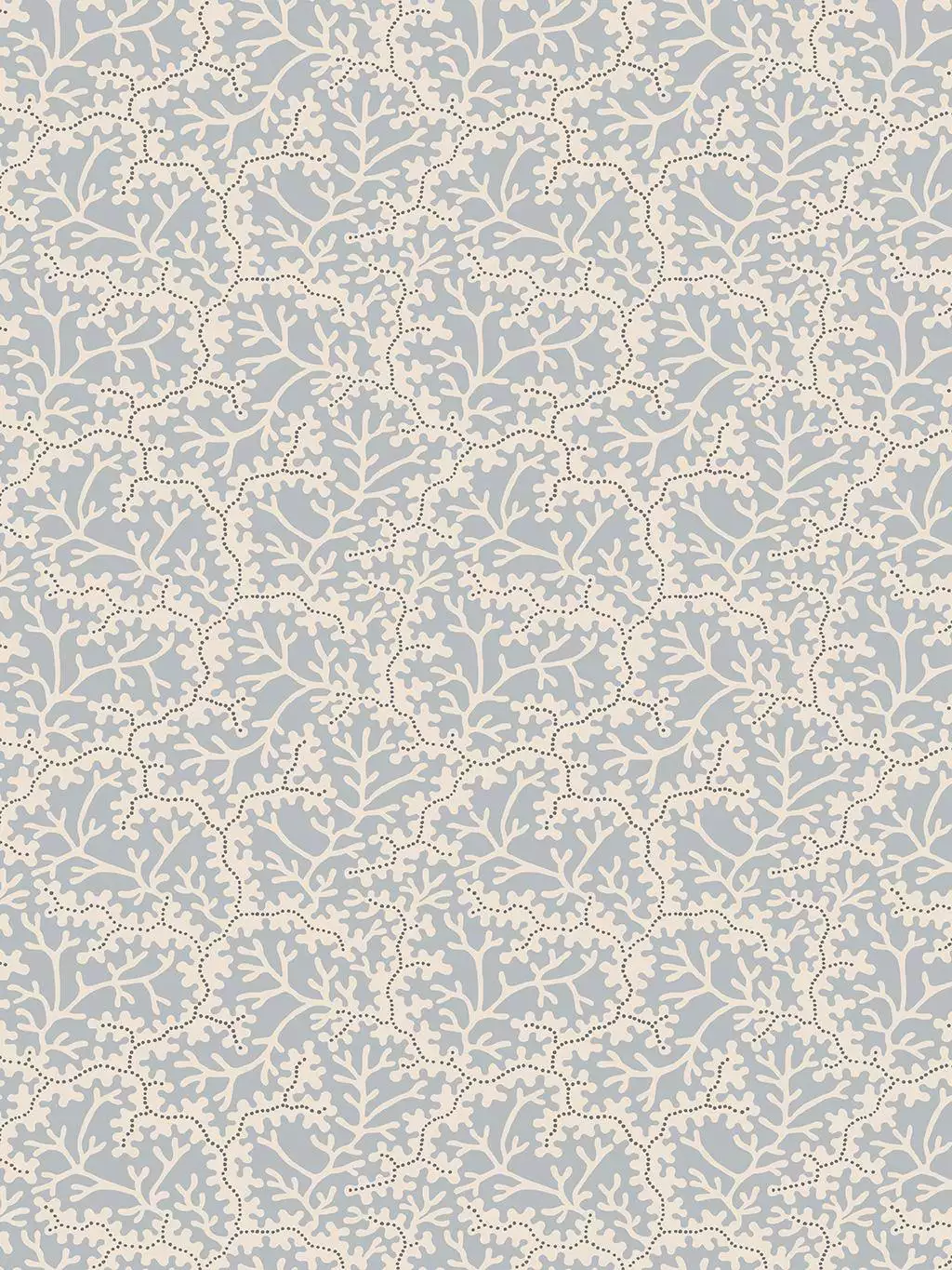 Coral, light blue
