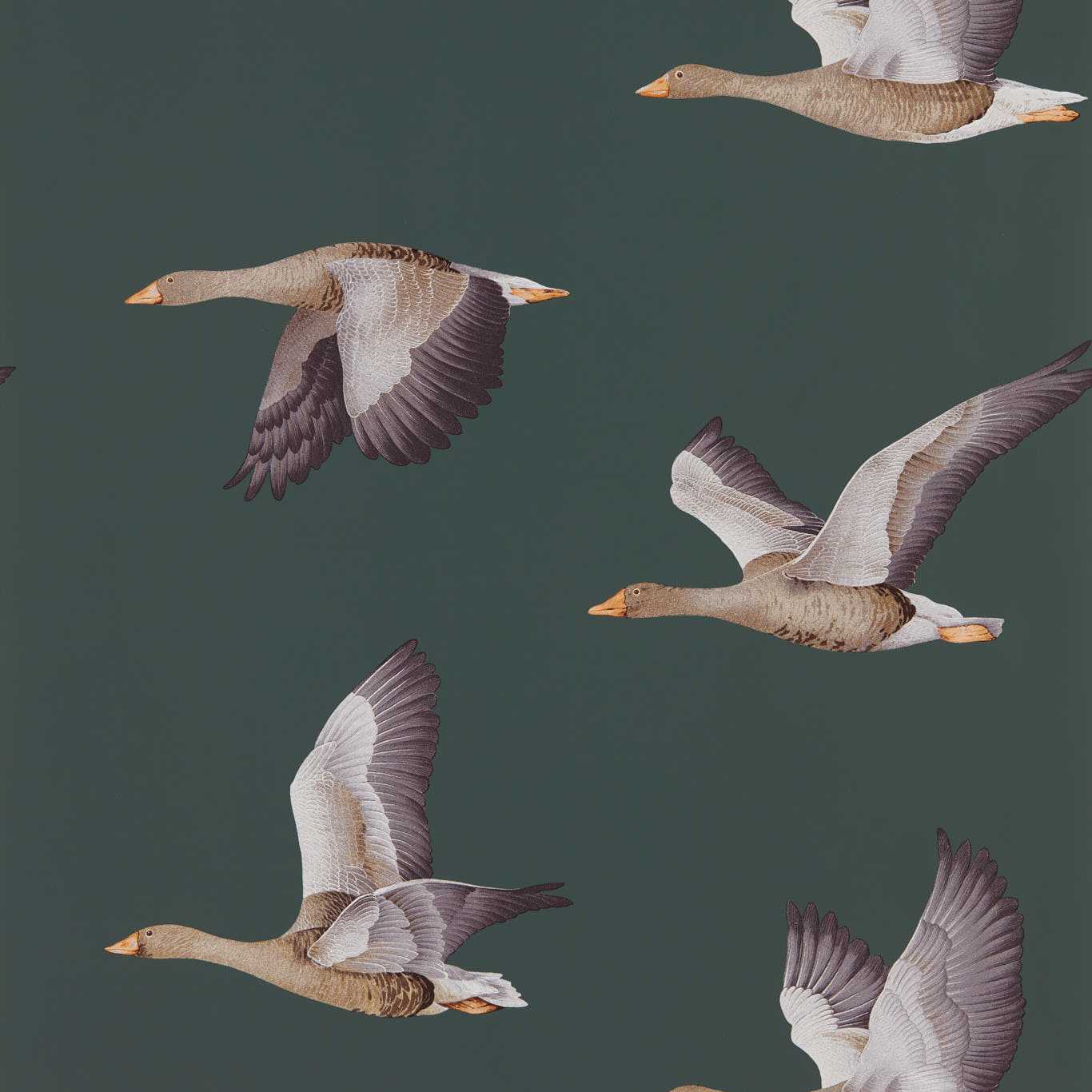 Elysian Geese, col.08 -  Amsterdam Green - tapete mit