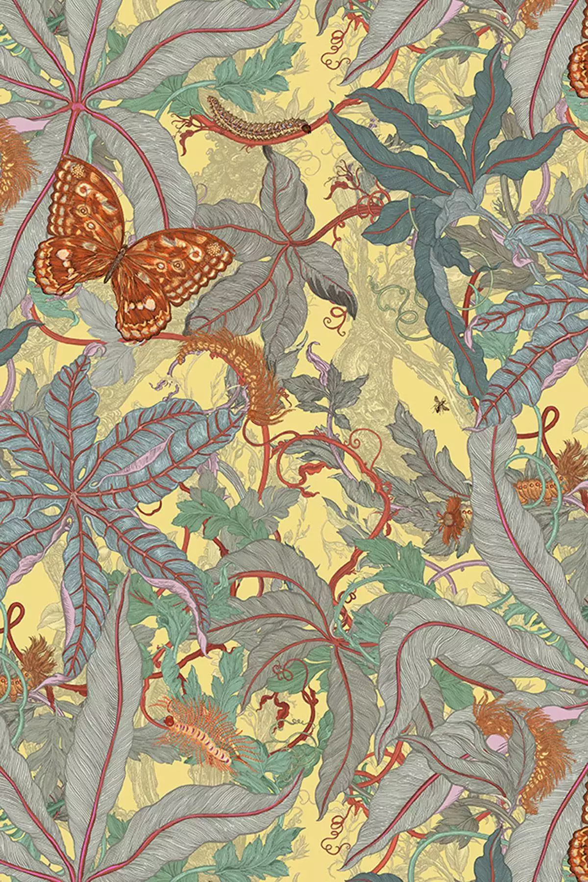 Grandifolius, col. 04