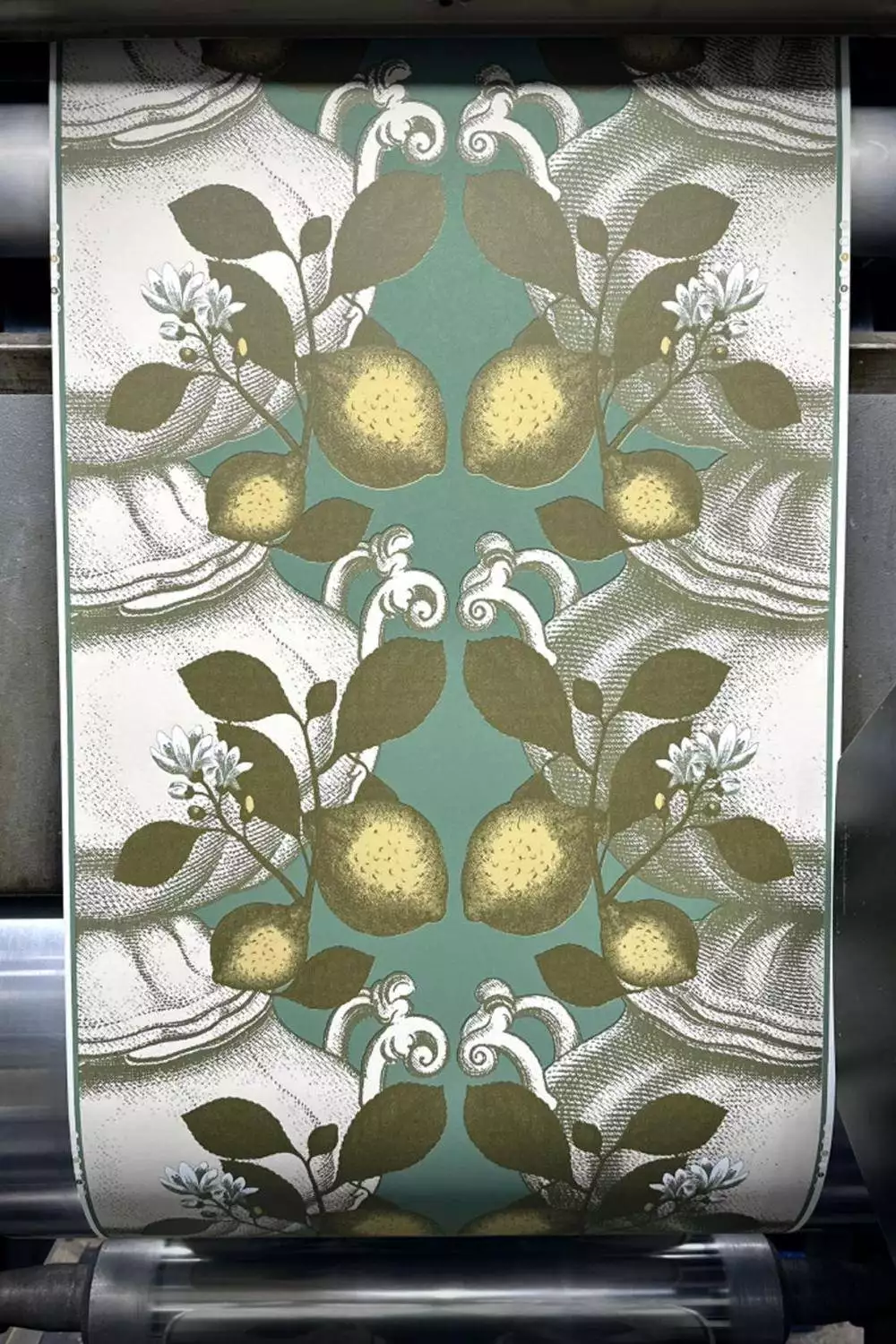 Limoncello, green