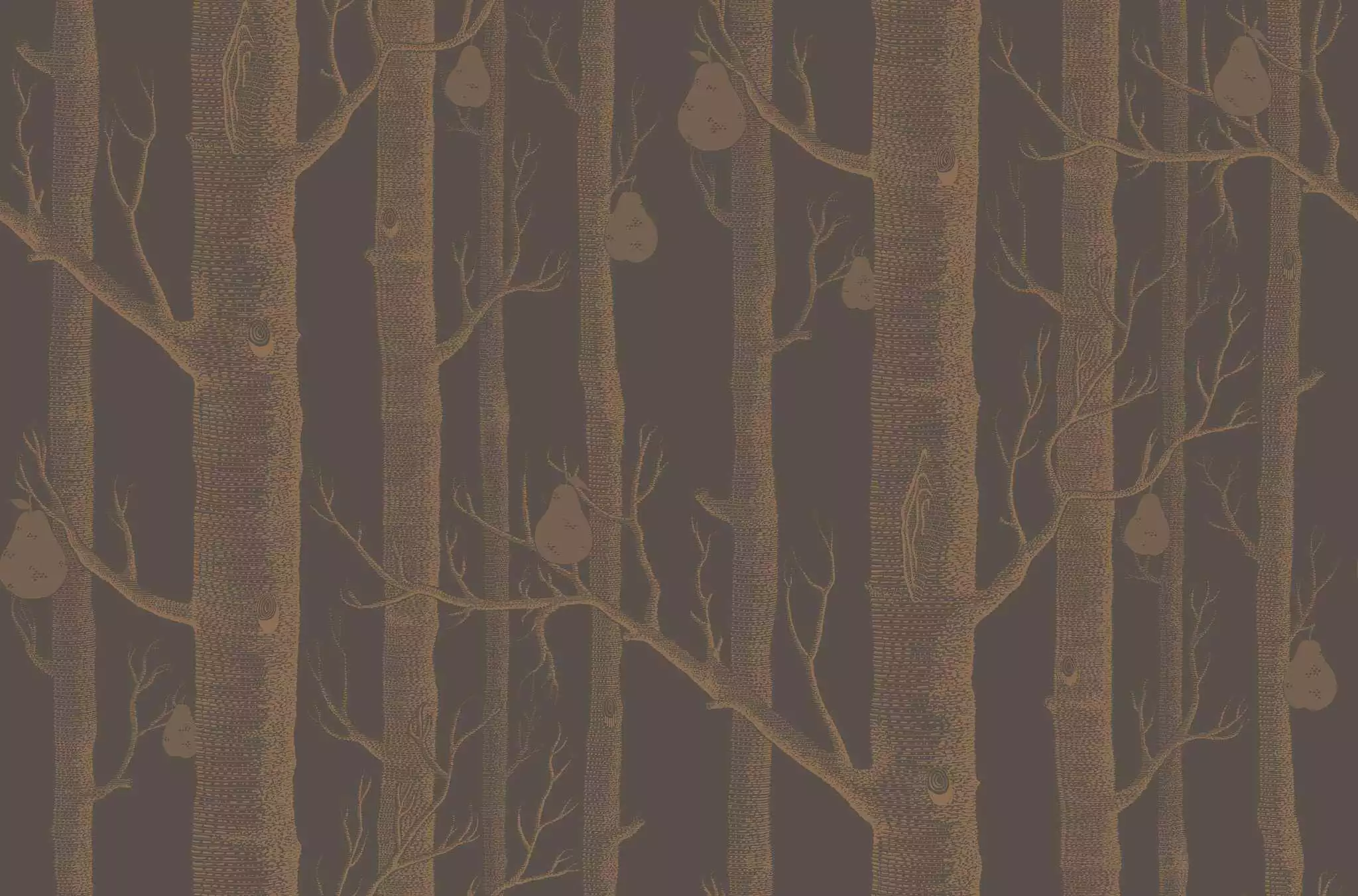 Woods & Pears, col. 28