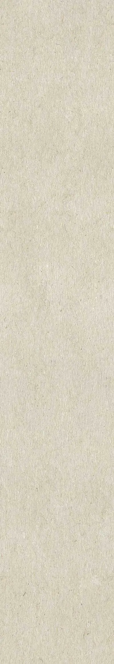 Mediterranea Neutral 1