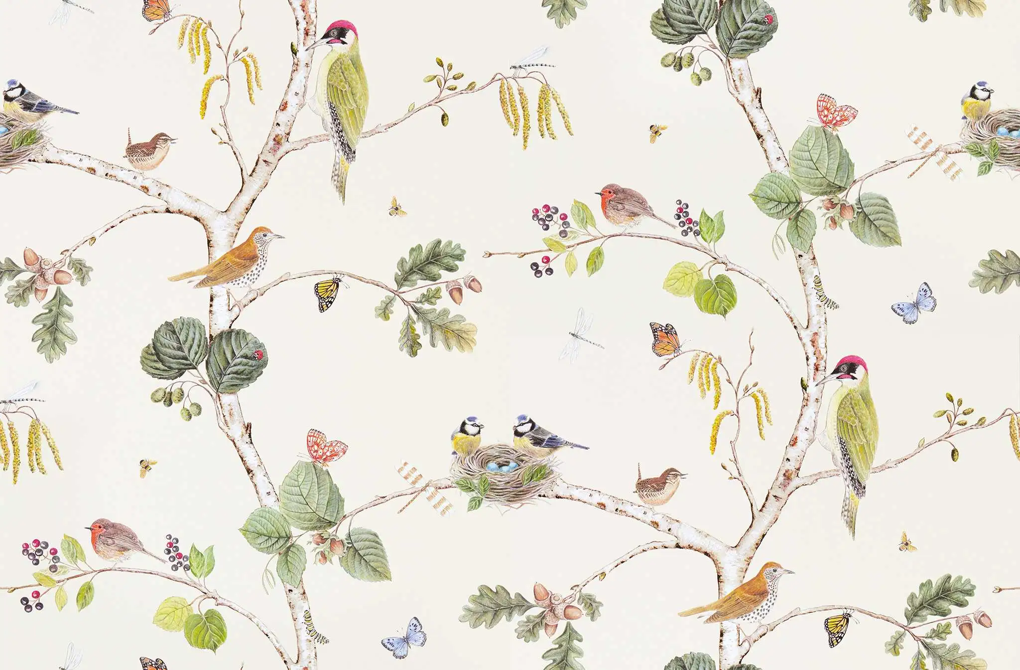 Woodland Chorus, col.03