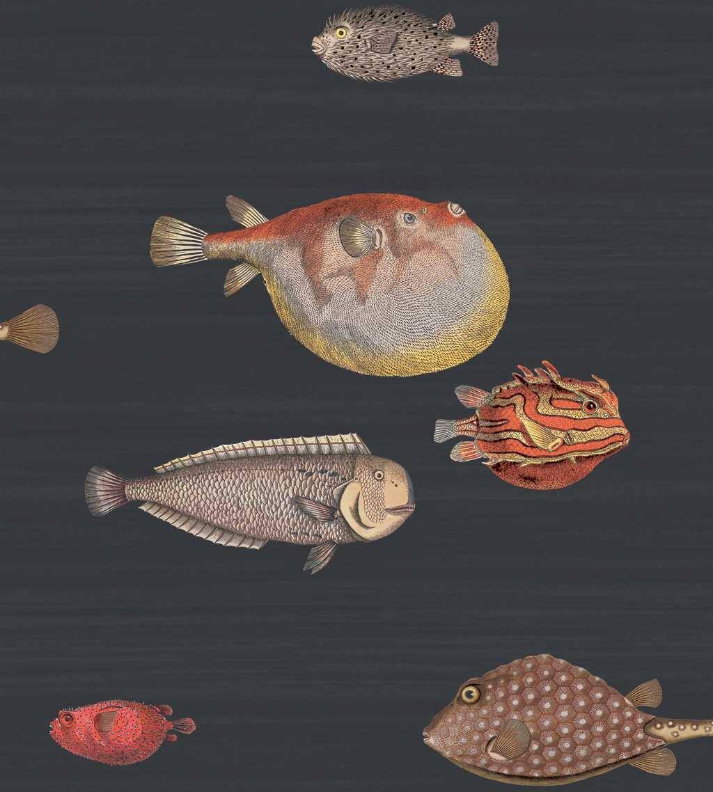 Acquario, col.48 - tapeten von