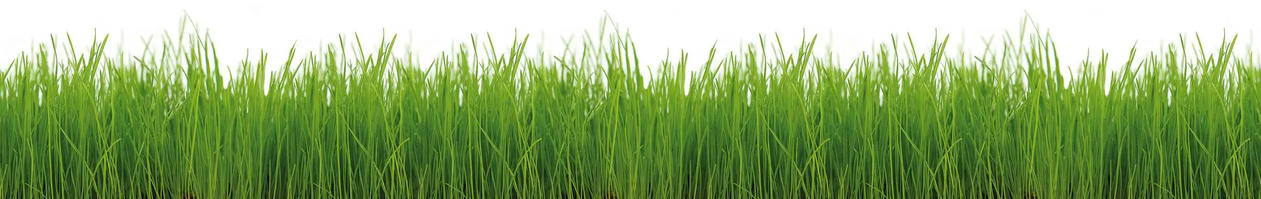 Zur Vergrößerung bitte auf Motiv klicken.