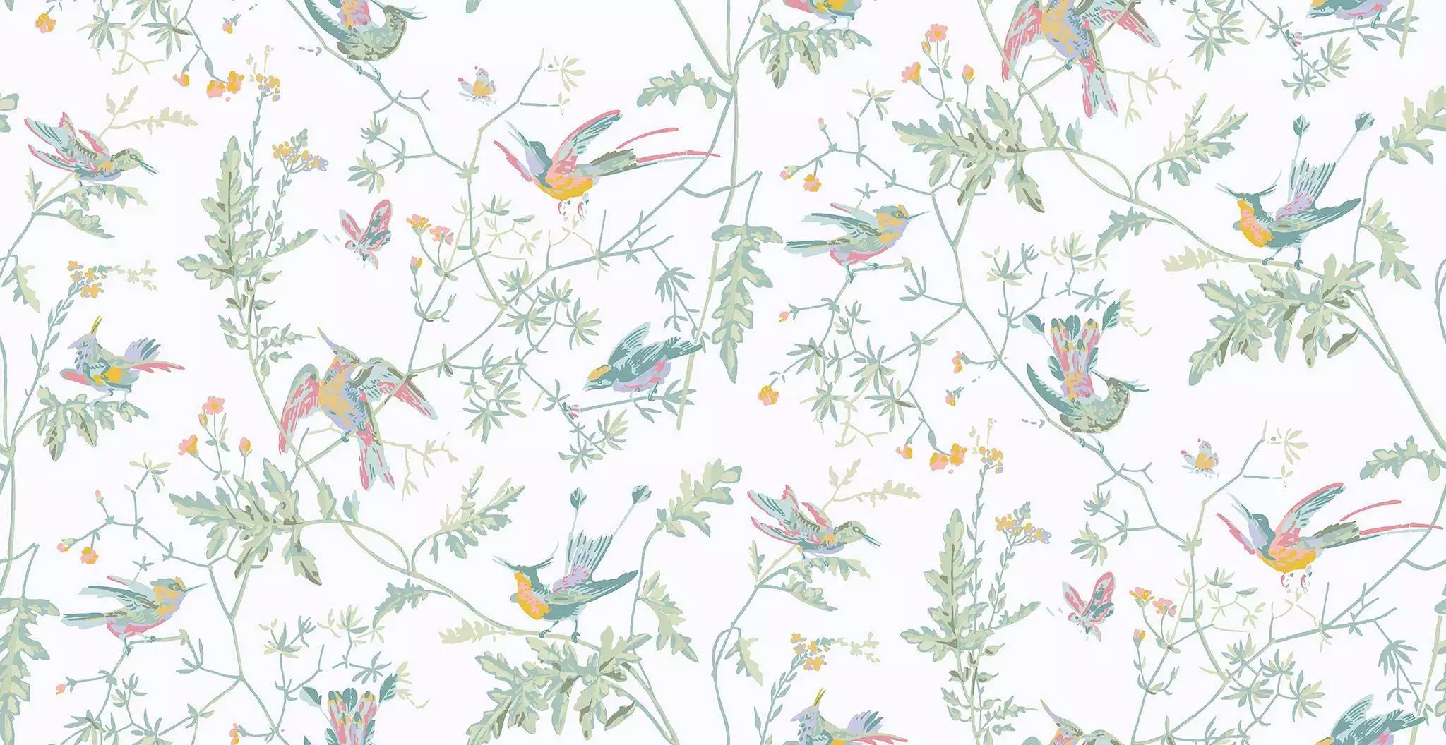 Hummingbirds, col. 16