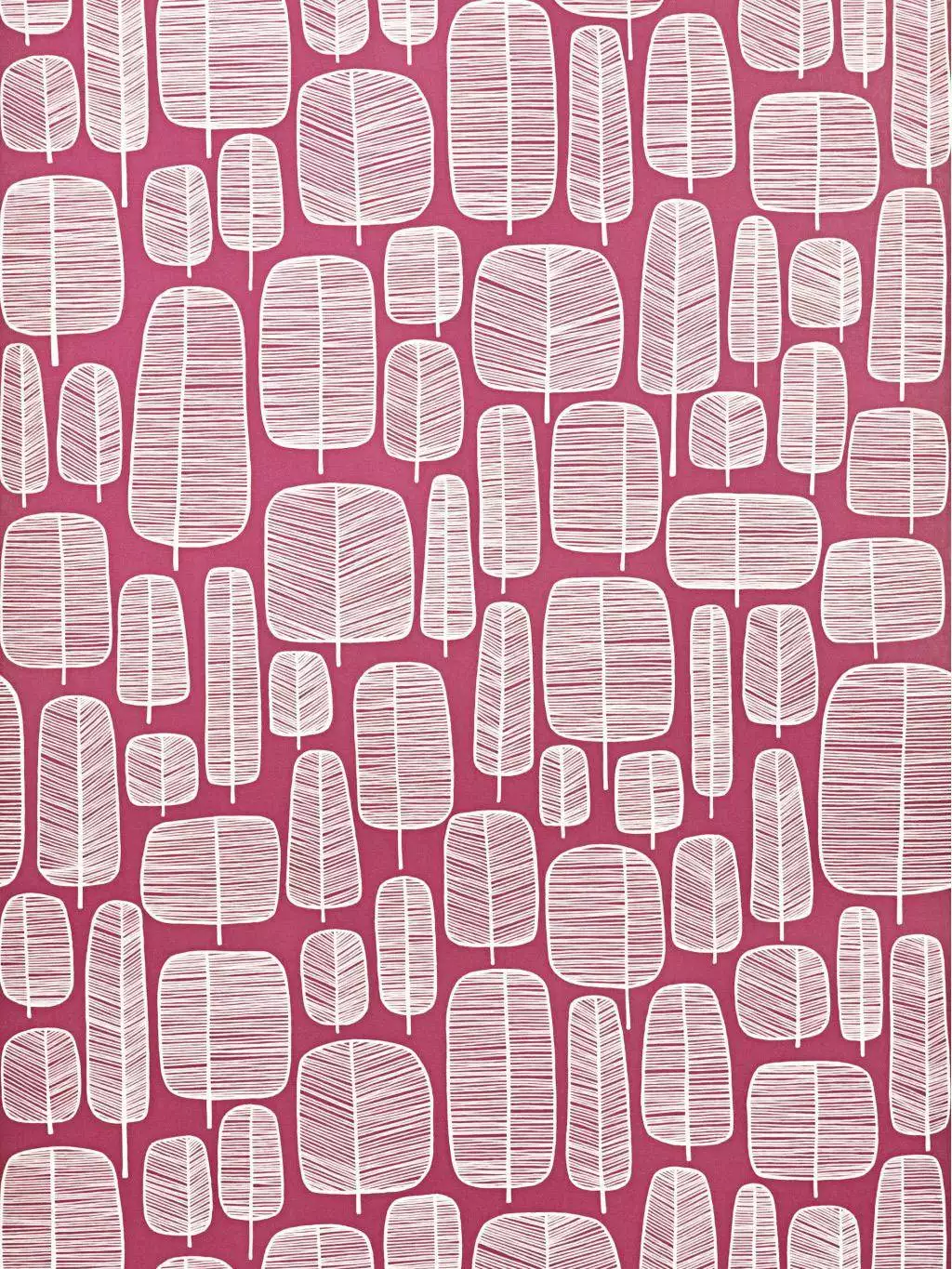 Little Trees, Fuchsia