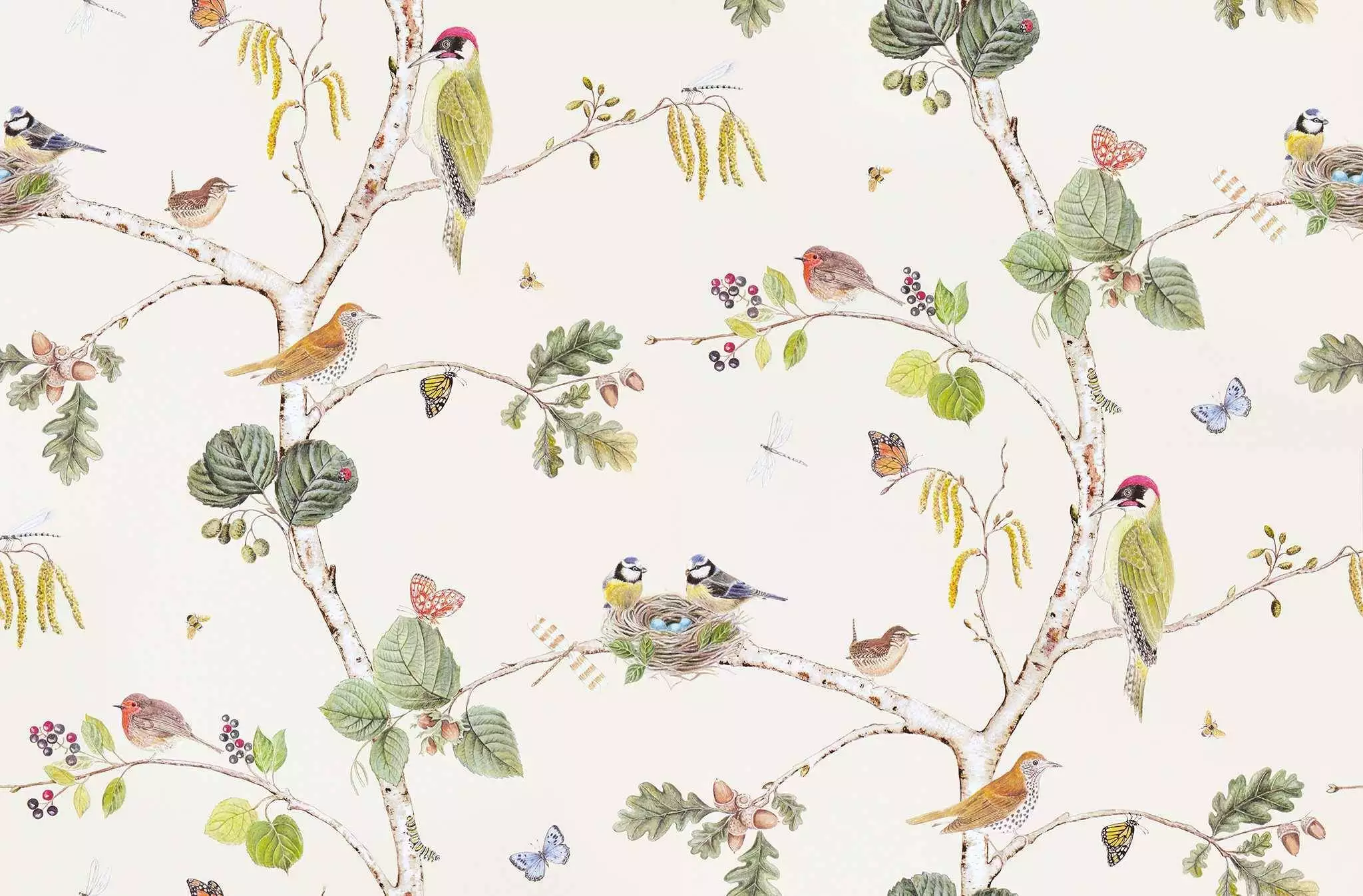 Woodland Chorus, col.03 - Bäume - Tapeten mit Vogelmotiven - Tier Tapeten - Creme - Multicolor - Sanderson 