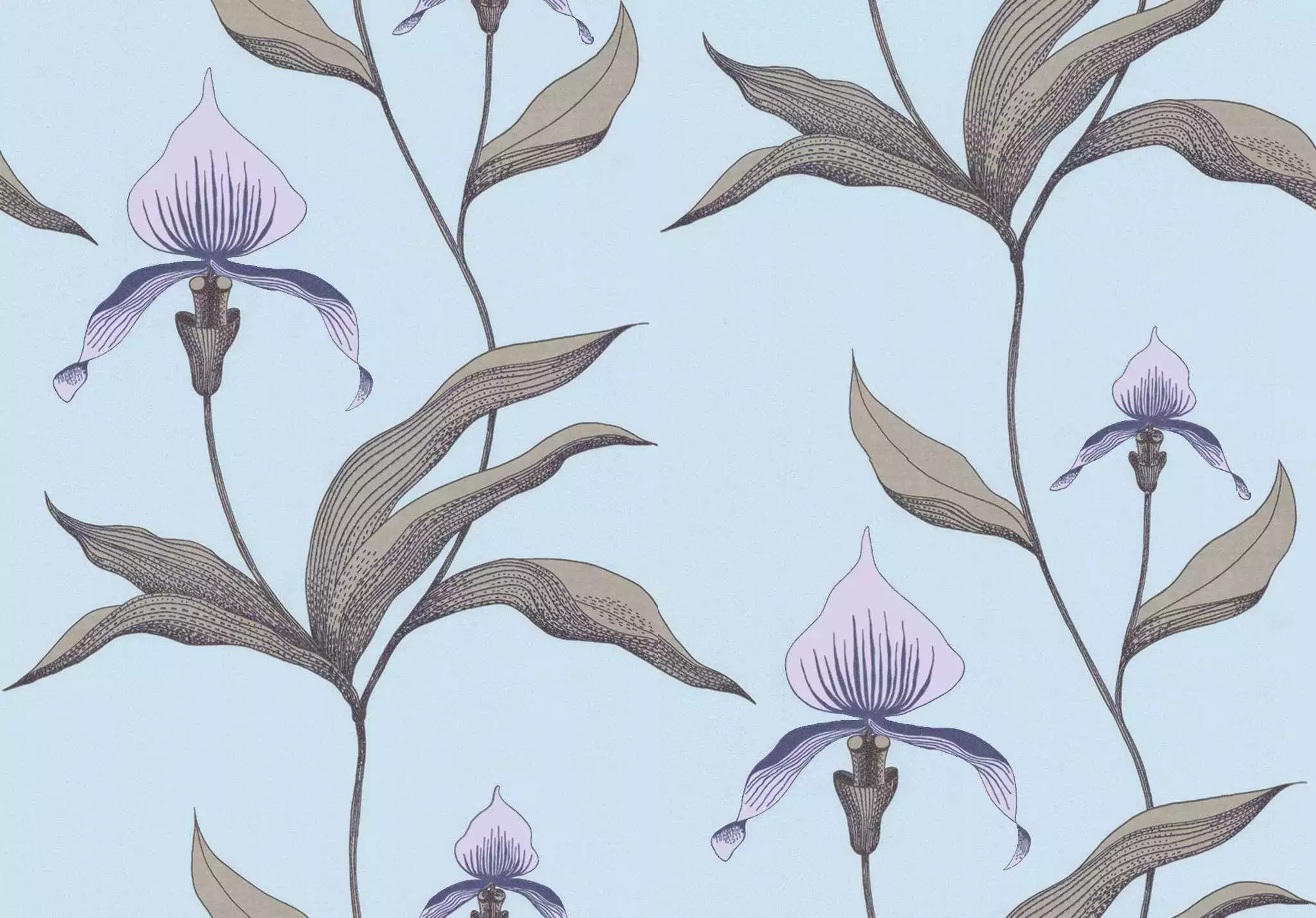 Orchid No. 28