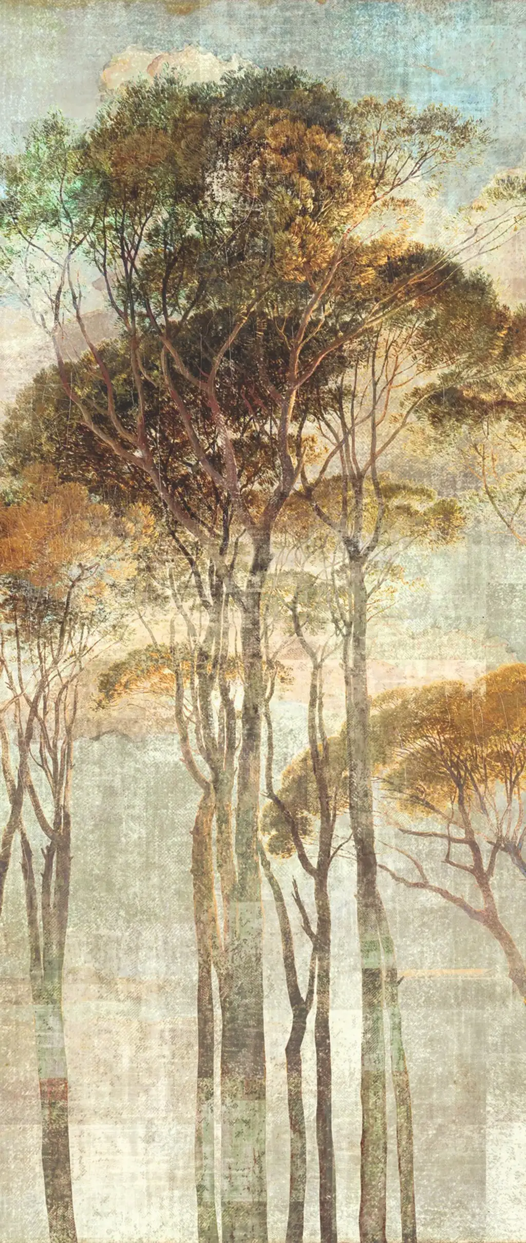 HYMN SAVANNA, col. 02