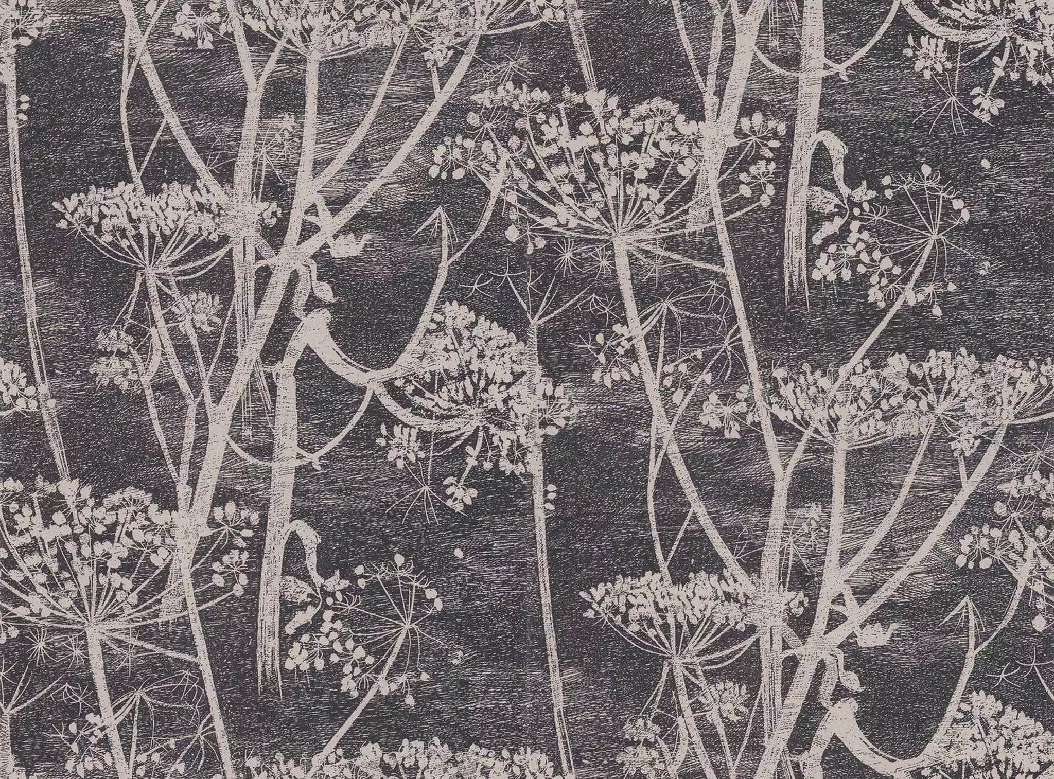 Cow Parsley, col. 48