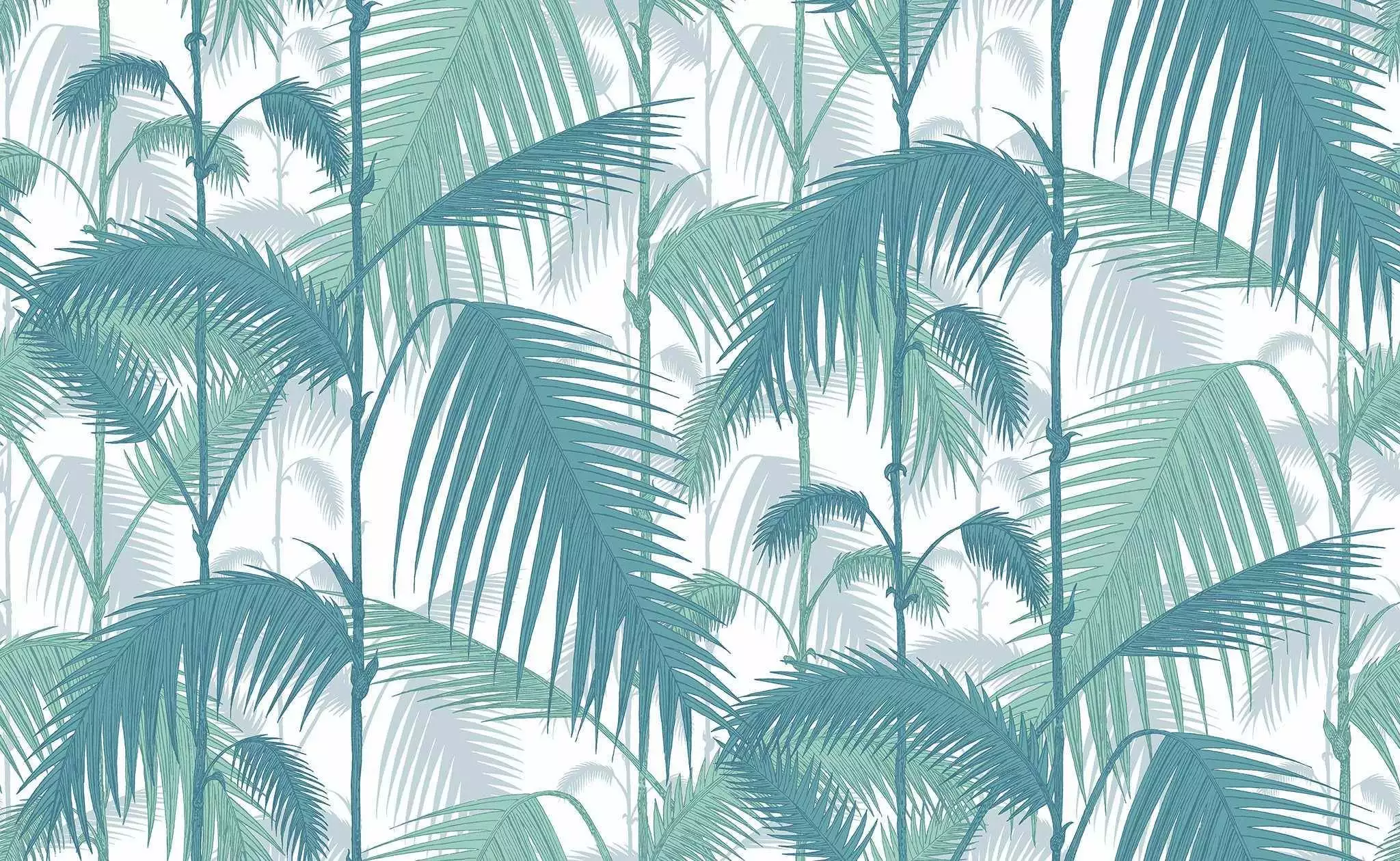 Palm Jungle, col. 02