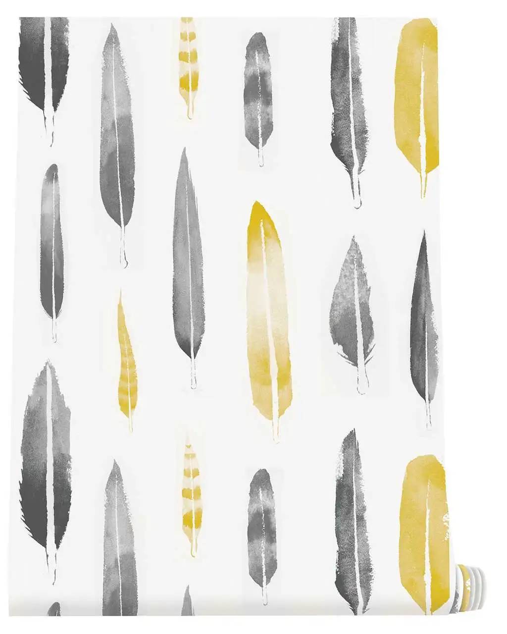 Feathers, Mustard
