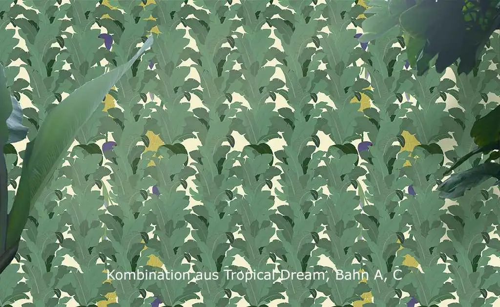 Tropical Dream, Bahn C