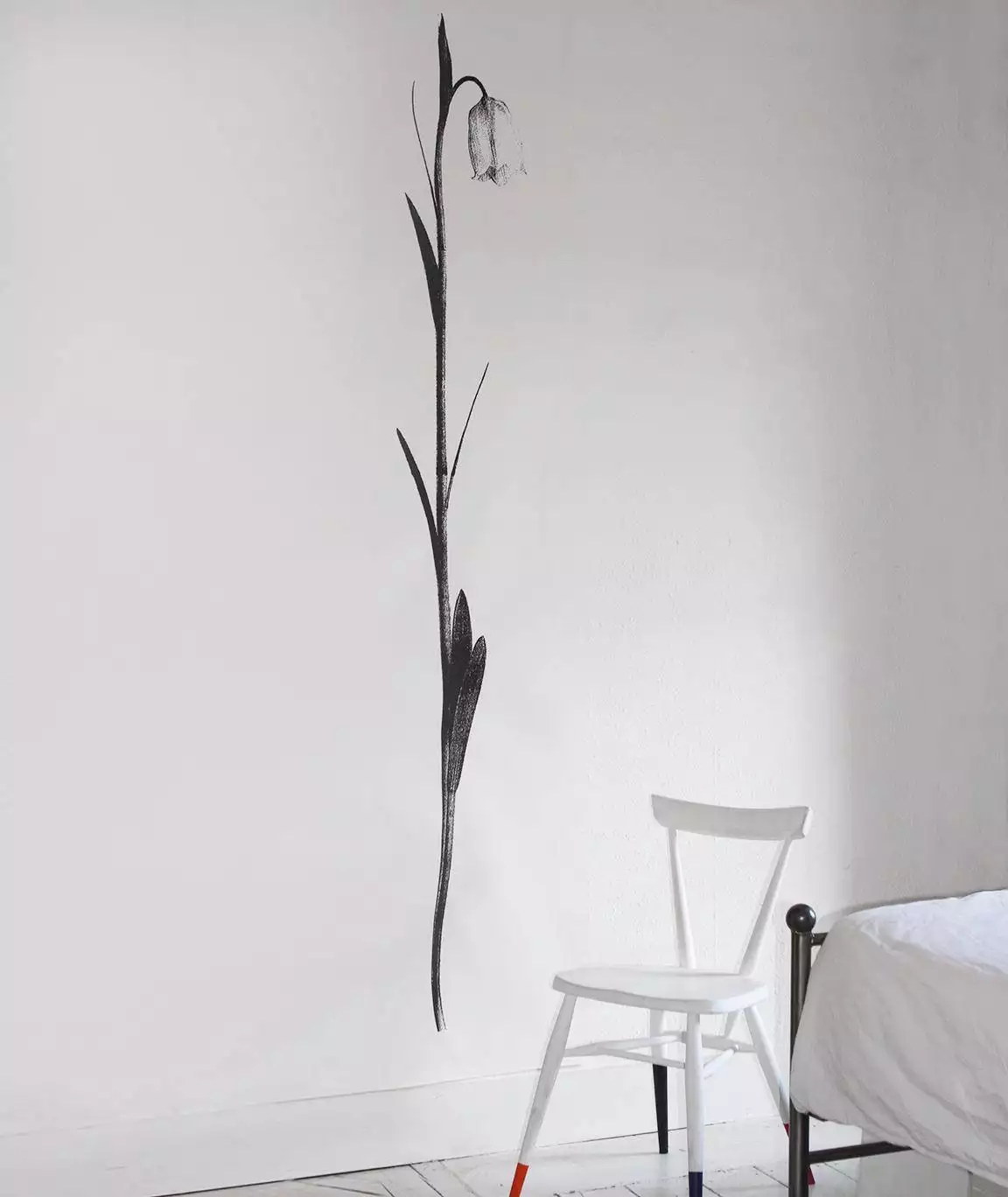 Light HAREBELL in black white