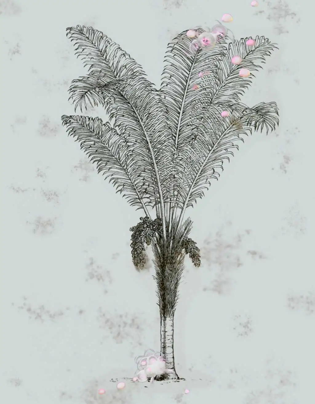 Desert Grove, col.02