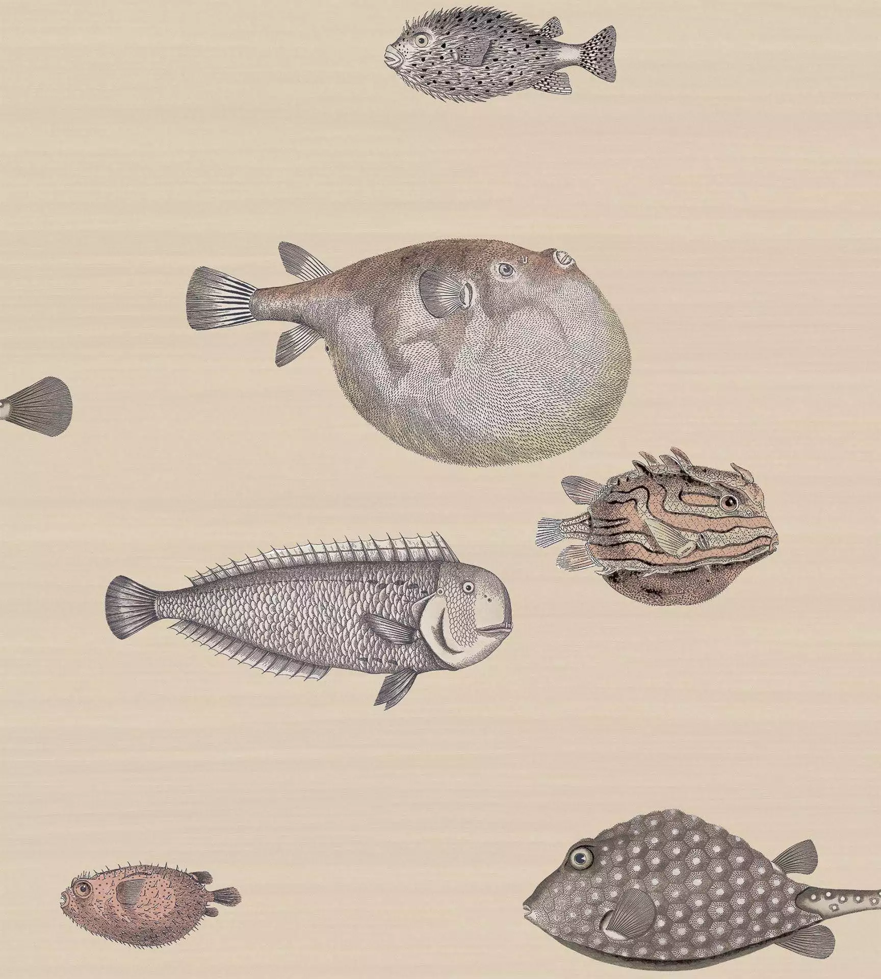 Acquario, col. 33