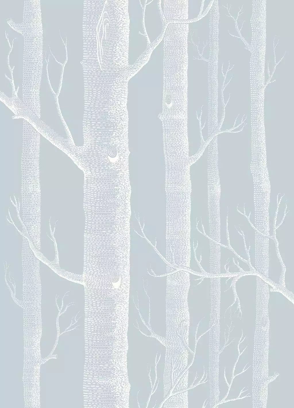 Woods, Chalk on Powder Blue
