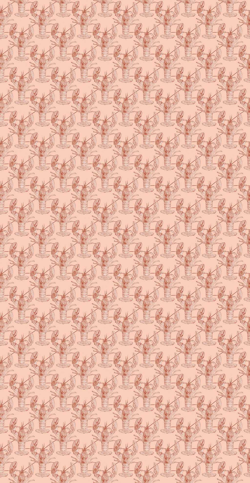 Lobster, salmon - designer