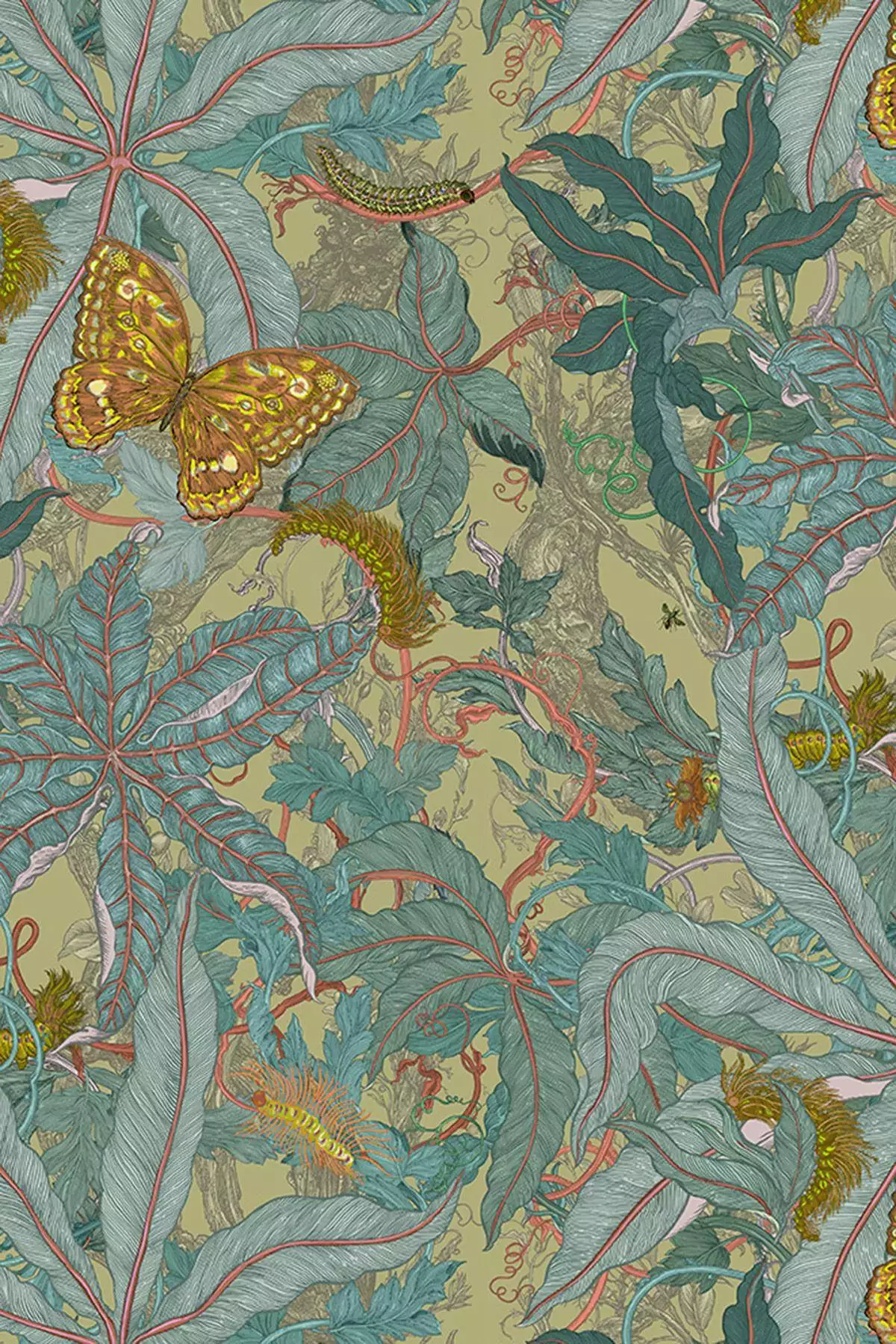 Grandifolius, col. 03