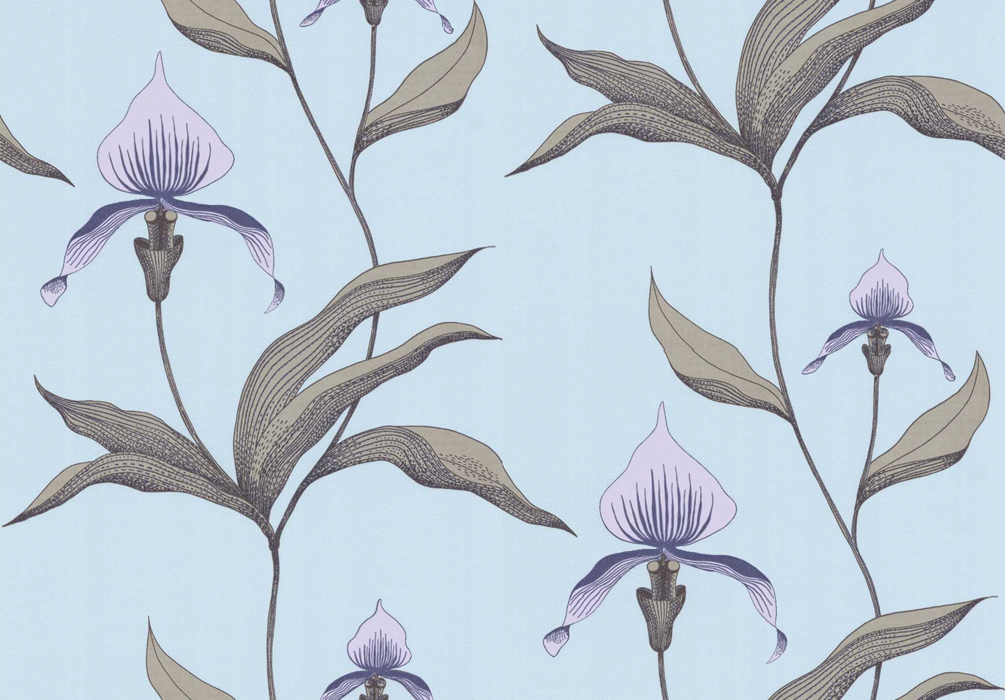 Orchid No. 28