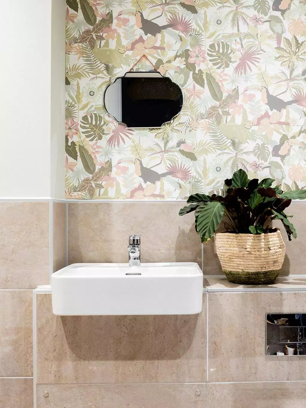 Selva Wallpaper in Cloud