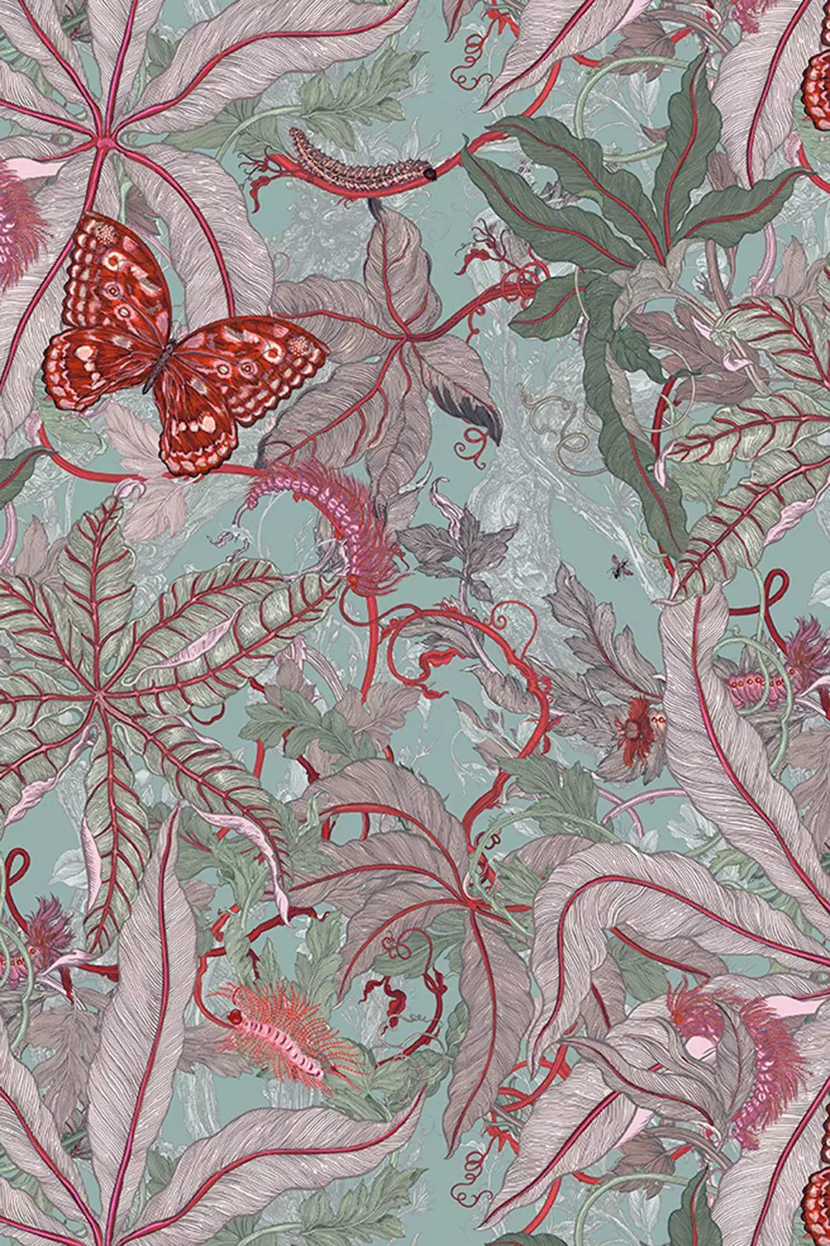 Grandifolius, col. 02