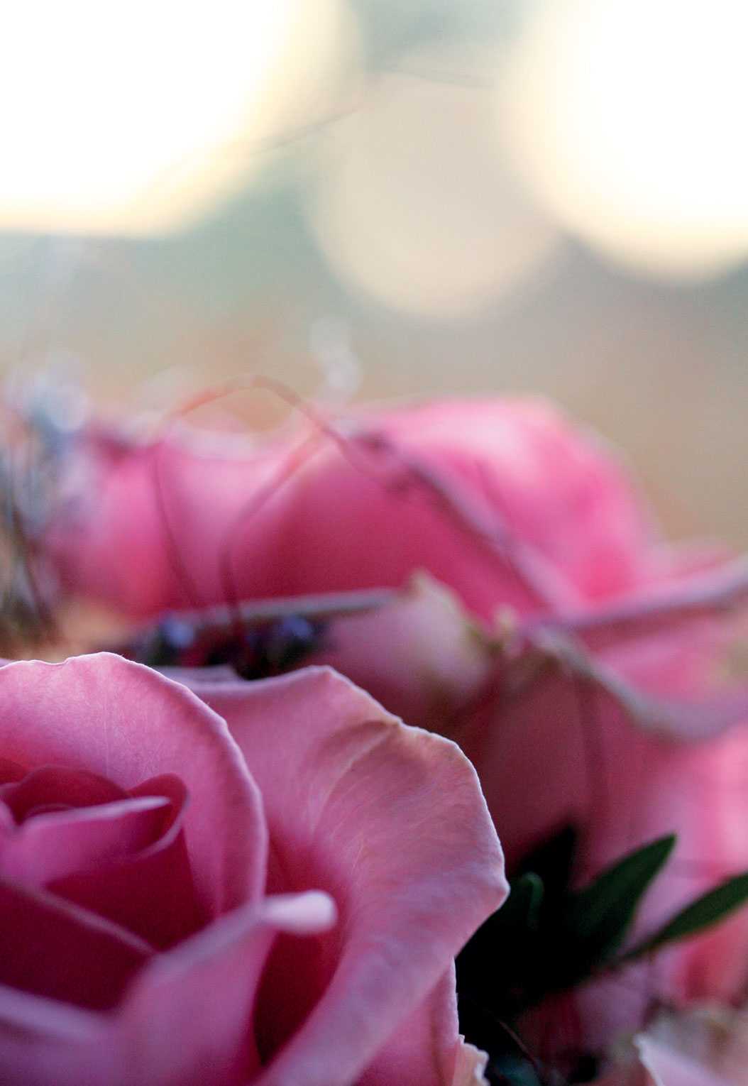 roses_unlasting - designer