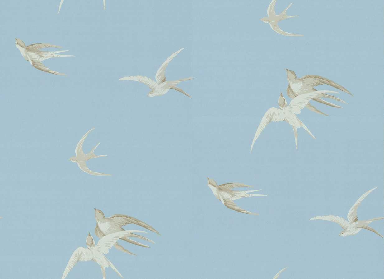 Swallows, col.03 - design