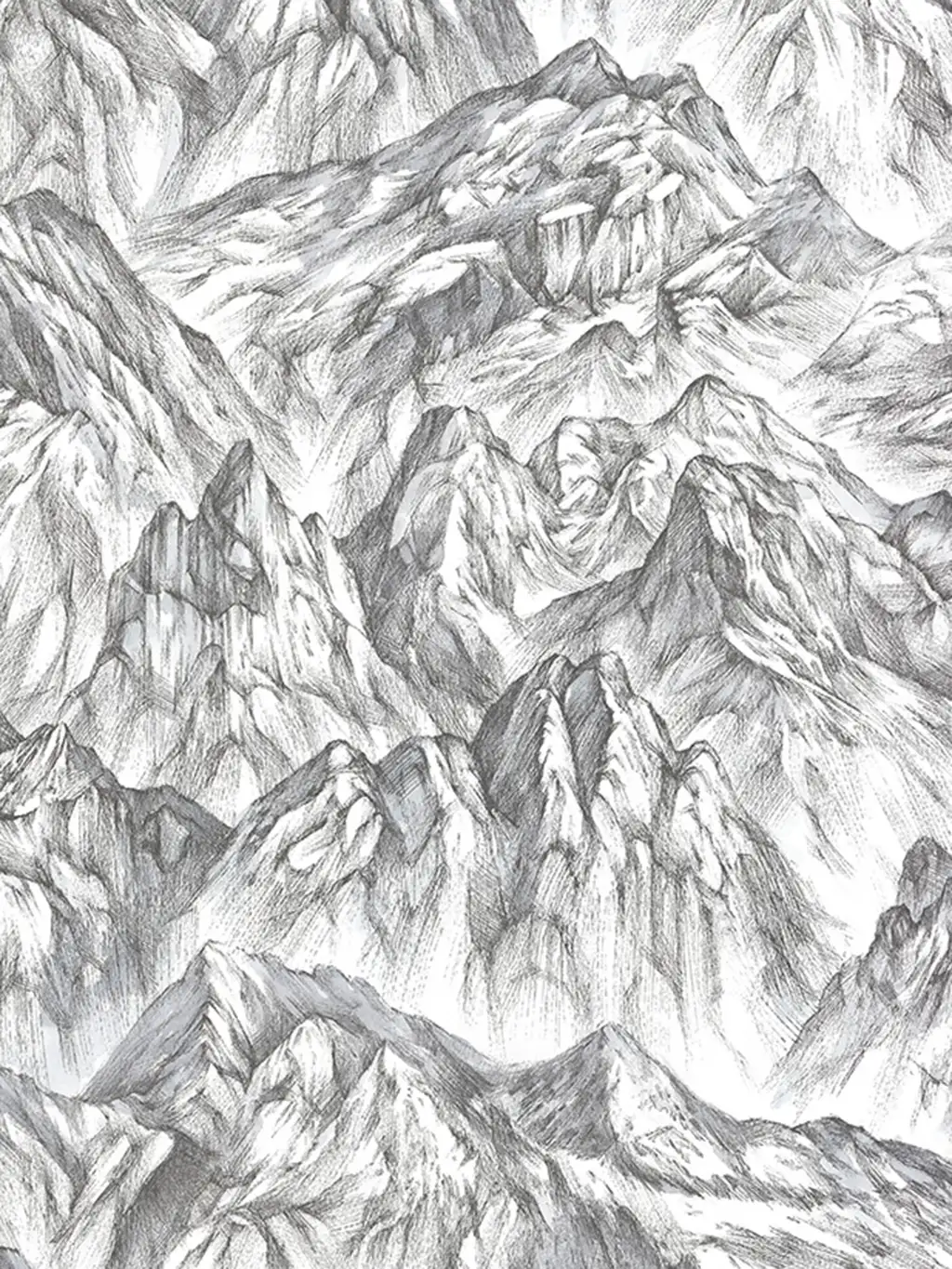 Ausschnitt