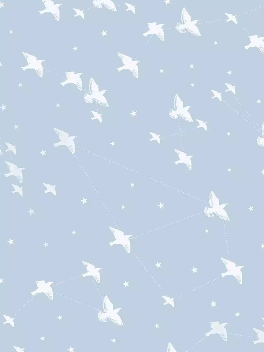 Star-ling, powder blue