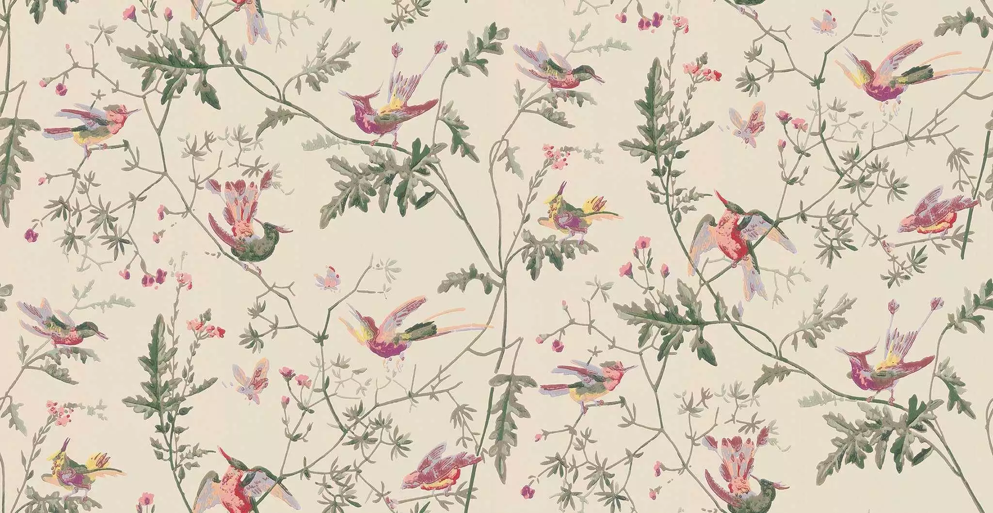 Hummingbirds, col. 71