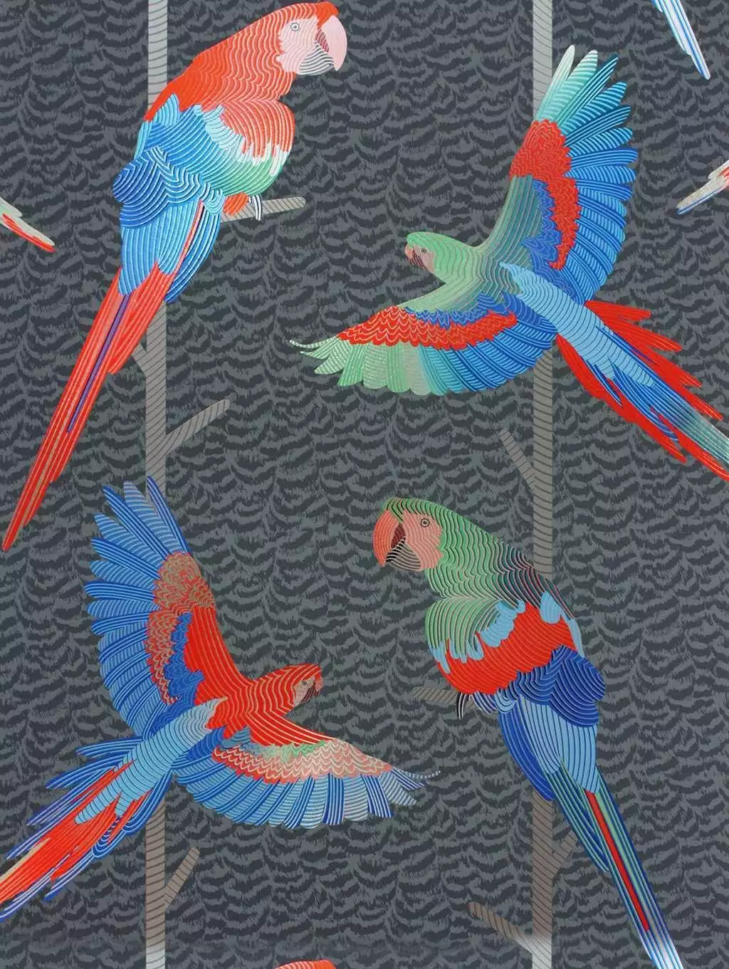 Basilius, col.01 - Federn - Tapeten mit Vogelmotiven - Anthrazit - Blau - Rot - Silber - Osborne & Little