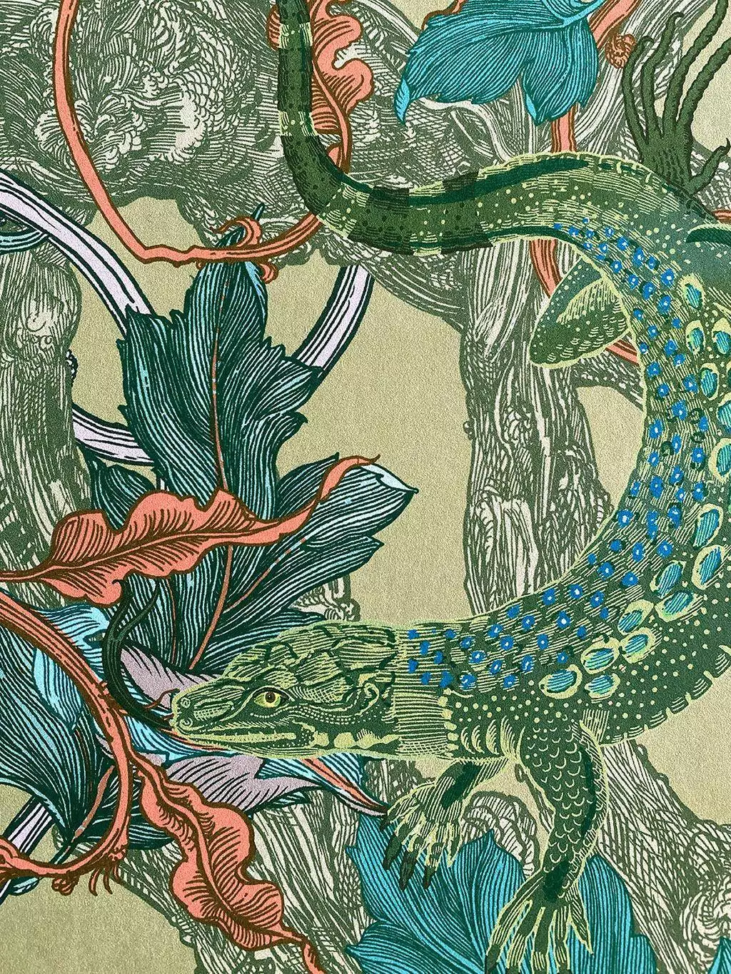 Lacerta, col. 03