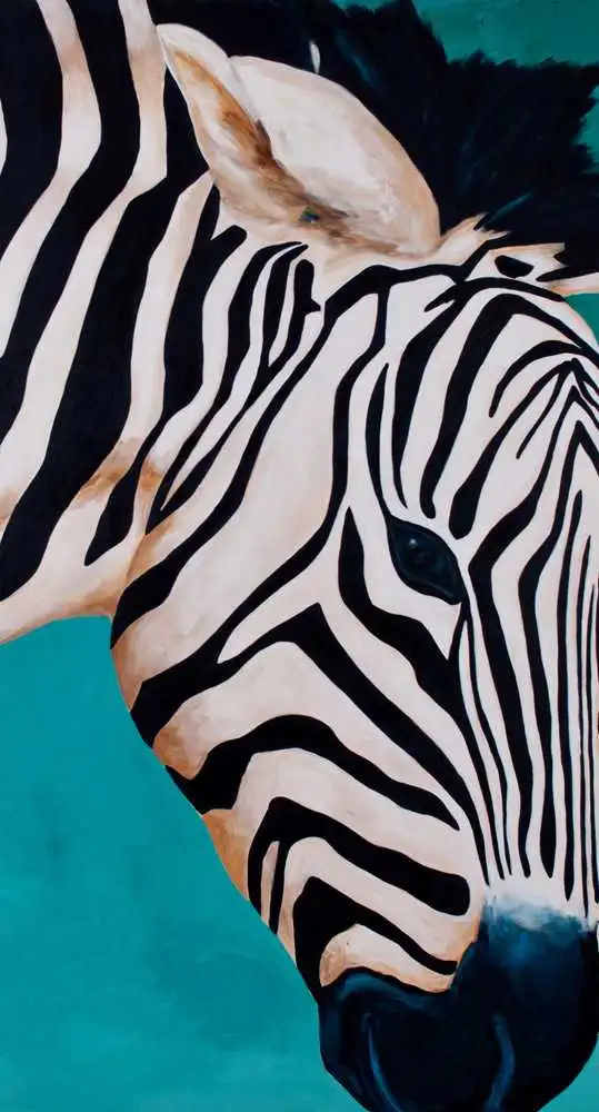 Zebra, klein