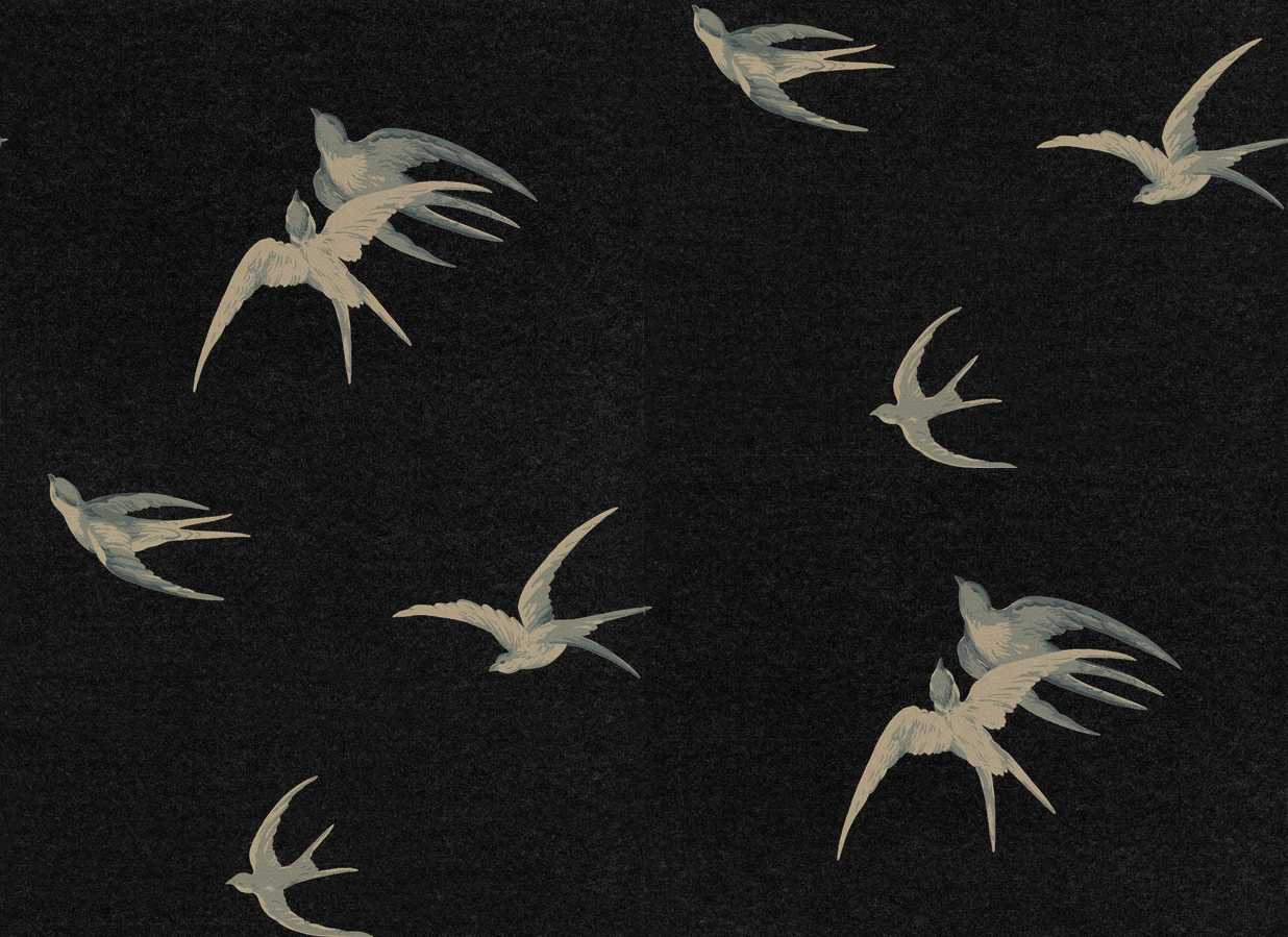 Swallows, col.05 - design